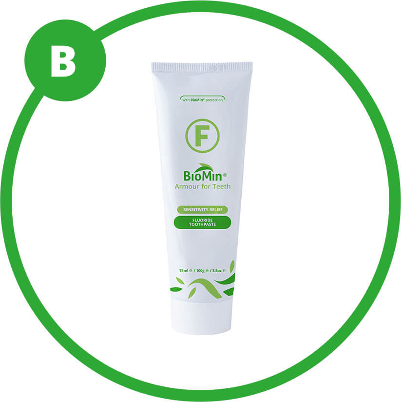 Group B - 5% fluorocalcium phosphosilicate (BioMin® F)