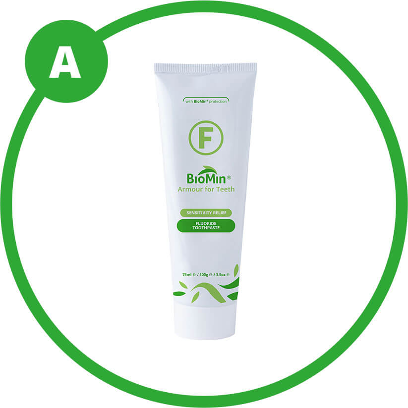 Group A - 5% fluorocalcium phosphosilicate with fused silica (BioMin® F)